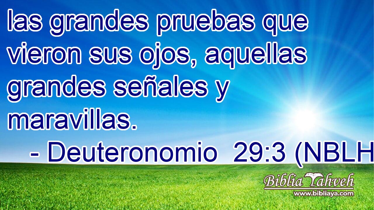  las grandes pruebas que vieron sus ojos, aquellas grandes señales y maravillas. 