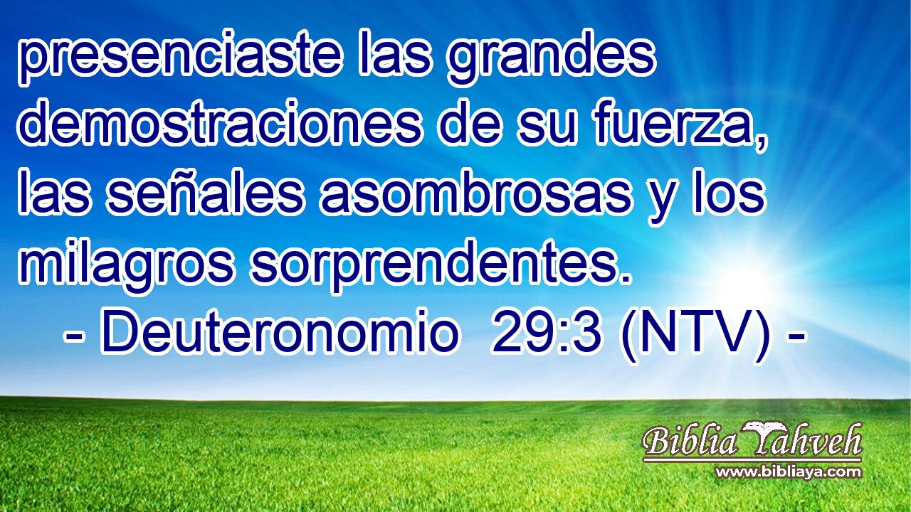 presenciaste las grandes demostraciones de su fuerza, las señales asombrosas y los milagros sorprendentes.