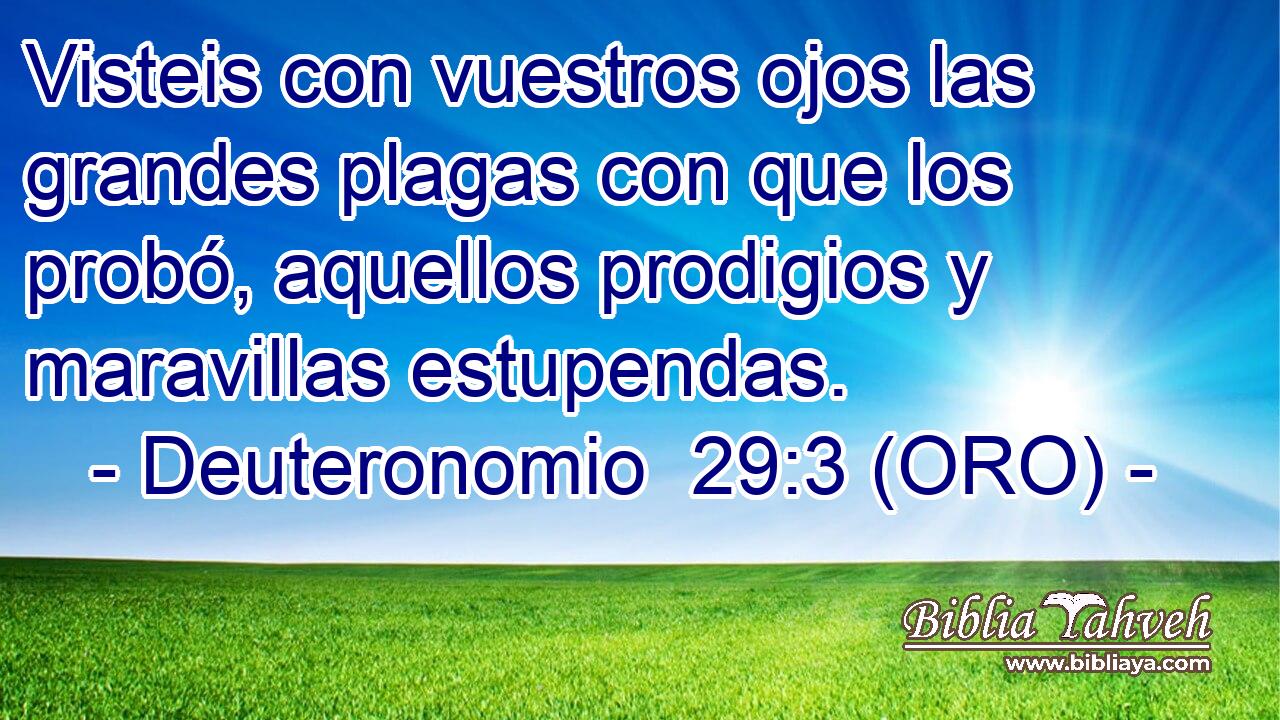  Visteis con vuestros ojos las grandes plagas con que los probó, aquellos prodigios y maravillas estupendas. 