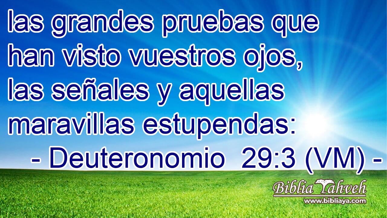  las grandes pruebas que han visto vuestros ojos, las señales y aquellas maravillas estupendas: 