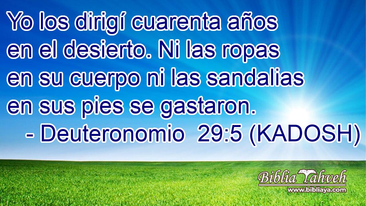  Yo los dirigí cuarenta años en el desierto. Ni las ropas en su cuerpo ni las sandalias en sus pies se gastaron. 