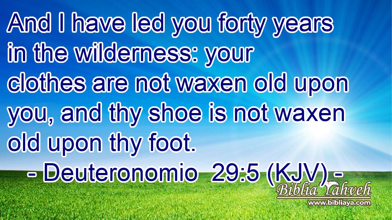 And I have led you forty years in the wilderness: your clothes are not waxen old upon you, and thy shoe is not waxen old upon thy foot.
