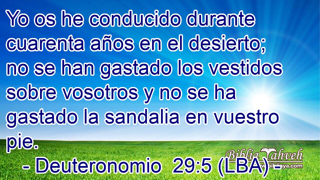 Yo os he conducido durante cuarenta años en el desierto; no se han gastado los vestidos sobre vosotros y no se ha gastado la sandalia en vuestro pie.