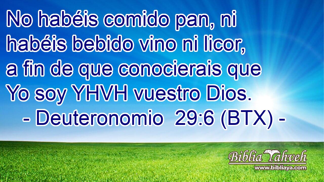 No habéis comido pan, ni habéis bebido vino ni licor, a fin de que conocierais que Yo soy YHVH vuestro Dios.