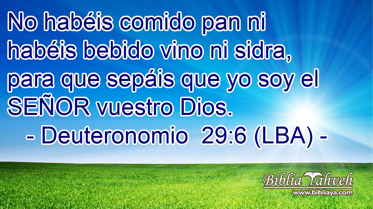 No habéis comido pan ni habéis bebido vino ni sidra, para que sepáis que yo soy el SEÑOR vuestro Dios.