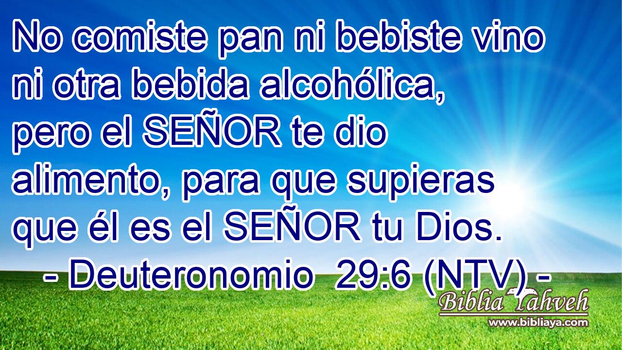 No comiste pan ni bebiste vino ni otra bebida alcohólica, pero el SEÑOR te dio alimento, para que supieras que él es el SEÑOR tu Dios.