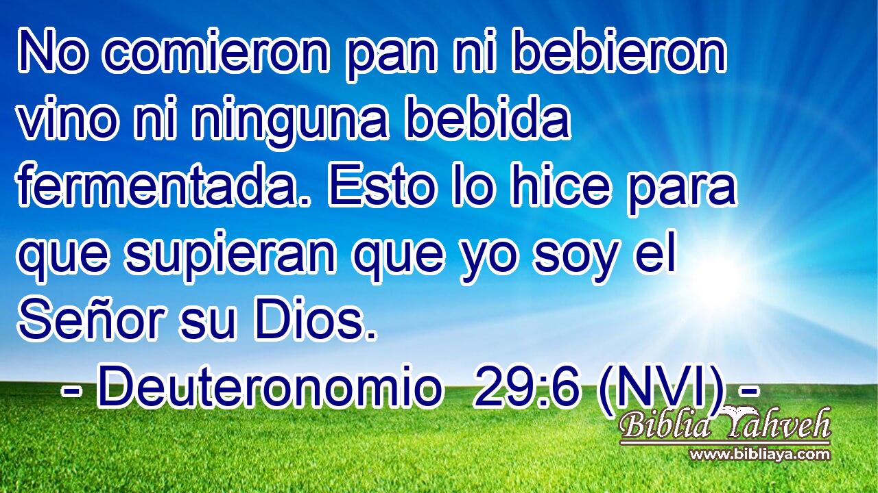  No comieron pan ni bebieron vino ni ninguna bebida fermentada. Esto lo hice para que supieran que yo soy el Señor su Dios. 