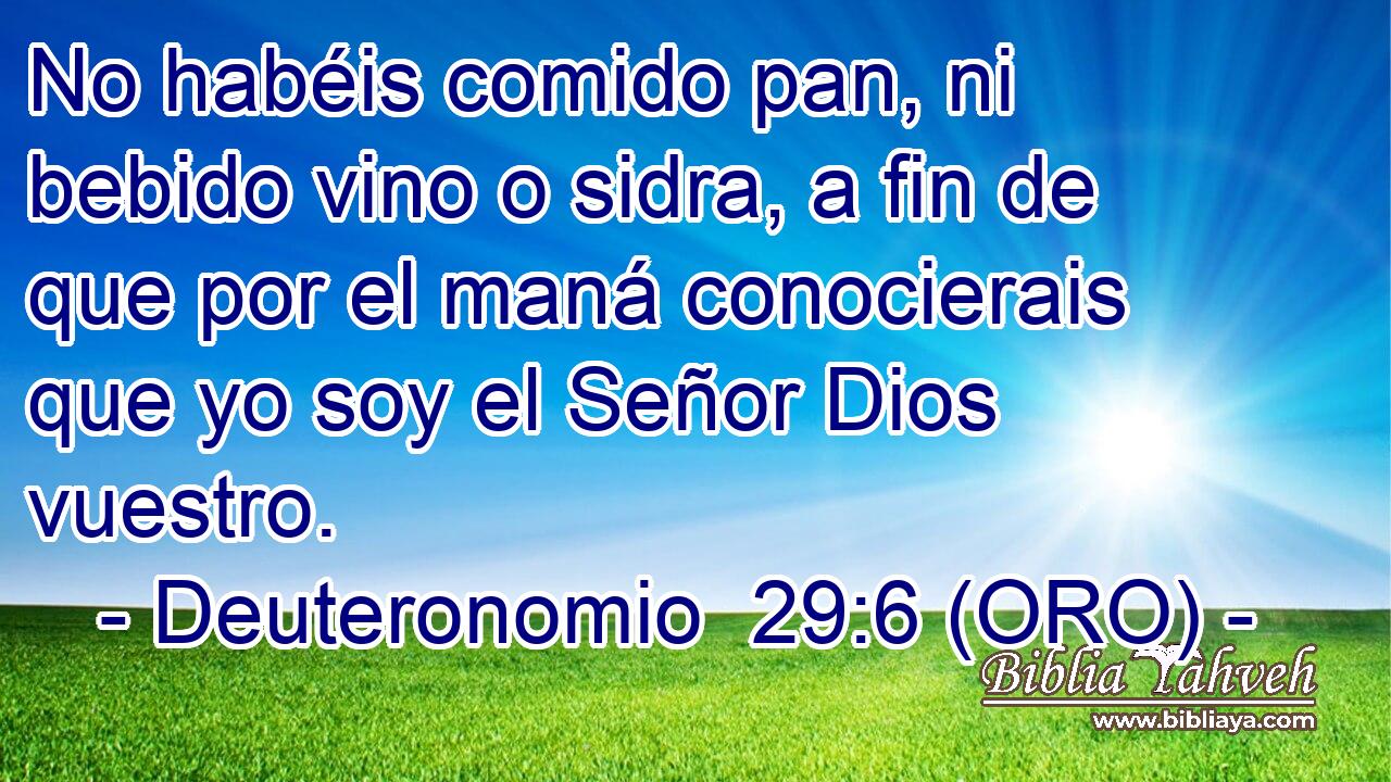  No habéis comido pan, ni bebido vino o sidra, a fin de que por el maná conocierais que yo soy el Señor Dios vuestro. 