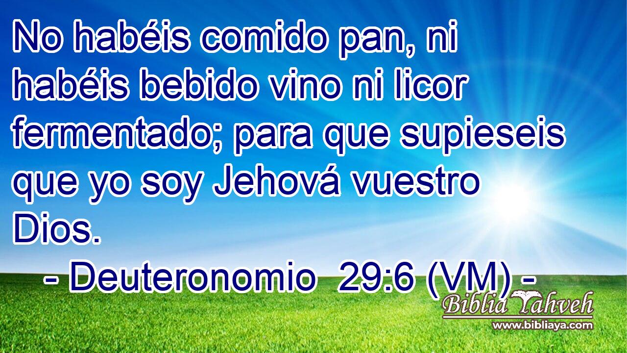  No habéis comido pan, ni habéis bebido vino ni licor fermentado; para que supieseis que yo soy Jehová vuestro Dios. 