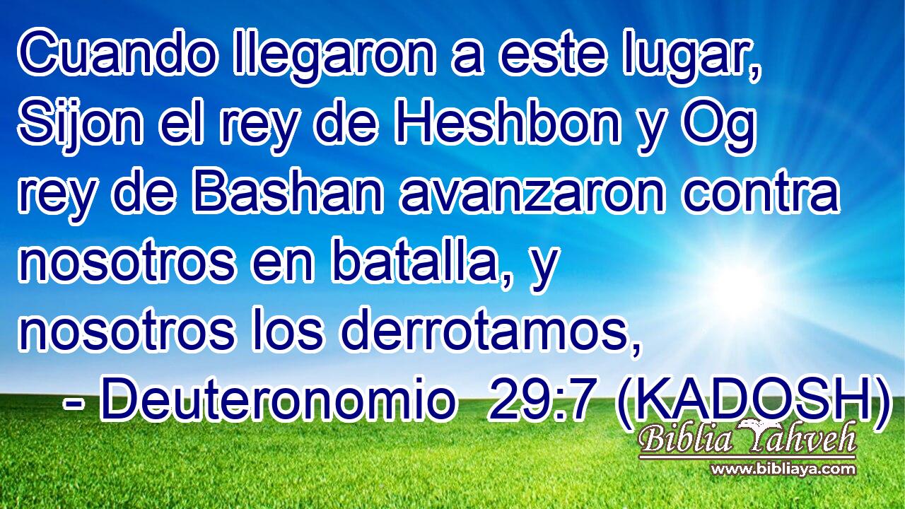  Cuando llegaron a este lugar, Sijon el rey de Heshbon y Og rey de Bashan avanzaron contra nosotros en batalla, y nosotros los derrotamos, 
