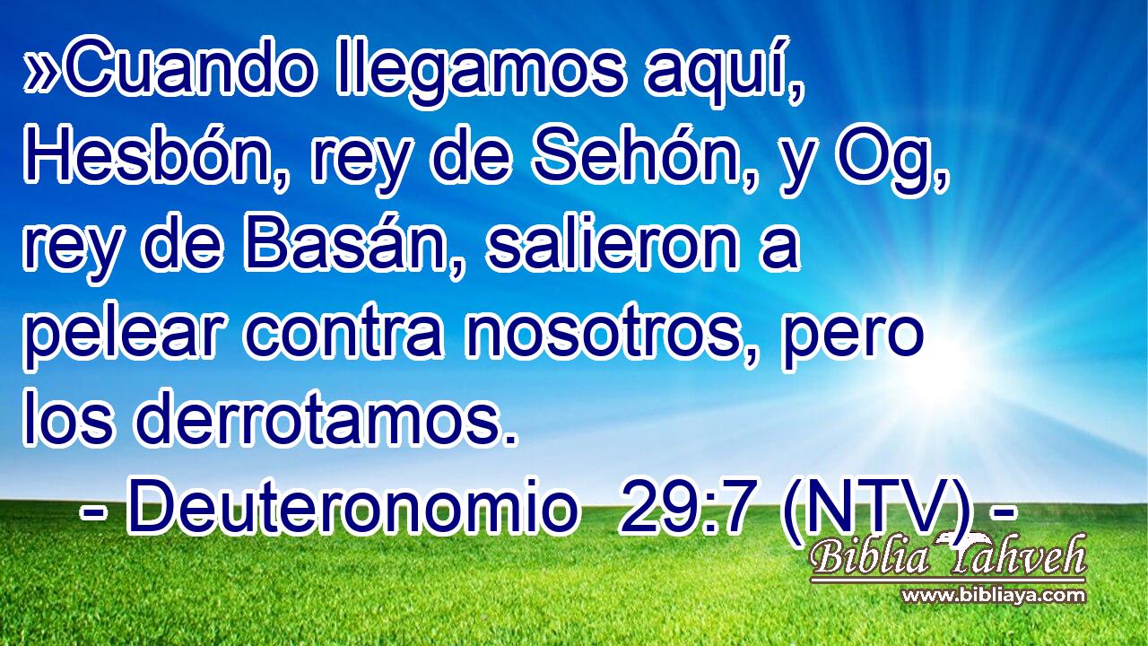 »Cuando llegamos aquí, Hesbón, rey de Sehón, y Og, rey de Basán, salieron a pelear contra nosotros, pero los derrotamos.