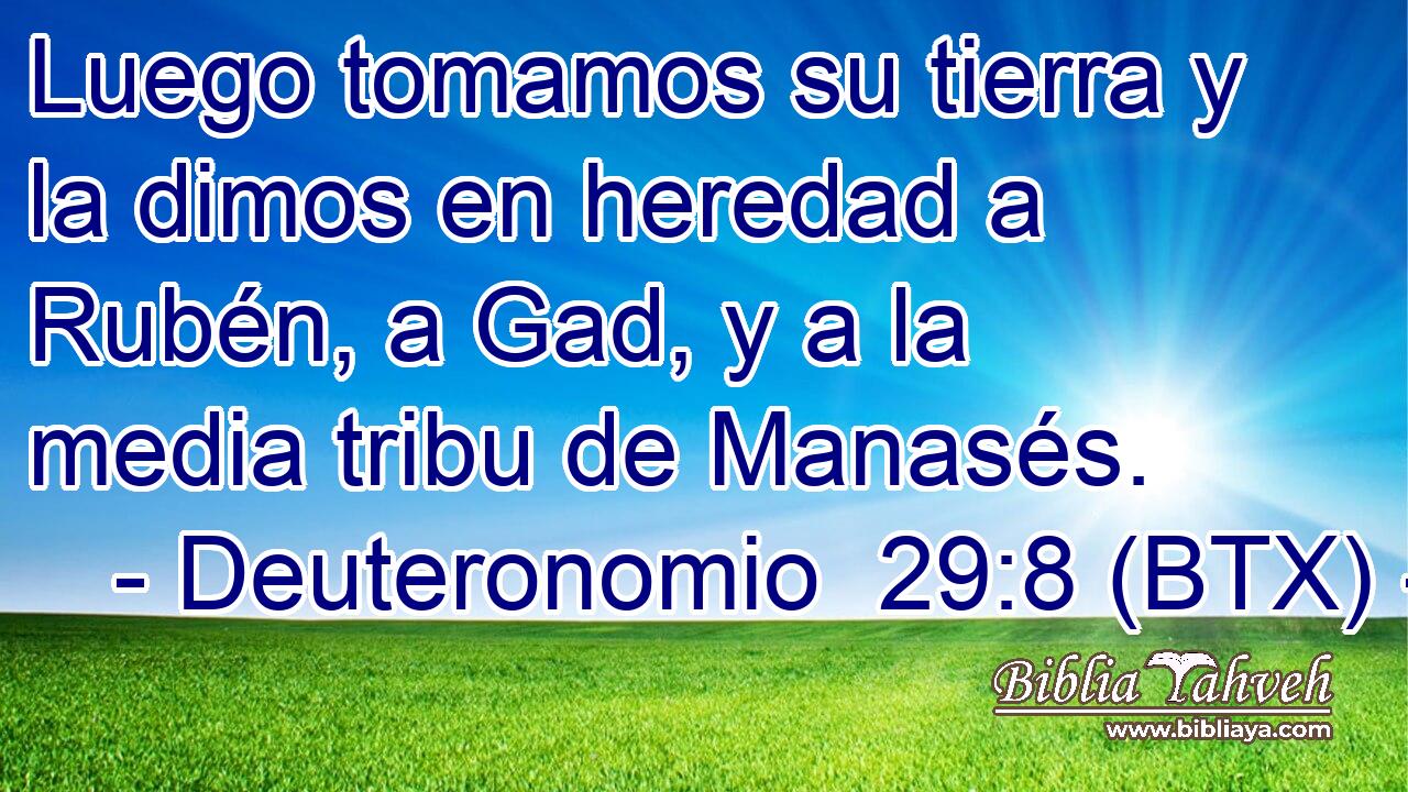 Luego tomamos su tierra y la dimos en heredad a Rubén, a Gad, y a la media tribu de Manasés.