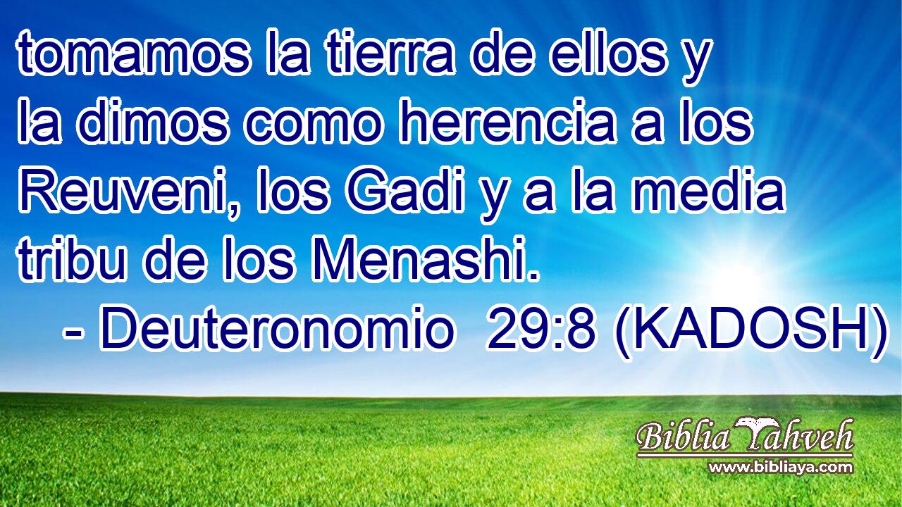  tomamos la tierra de ellos y la dimos como herencia a los Reuveni, los Gadi y a la media tribu de los Menashi. 