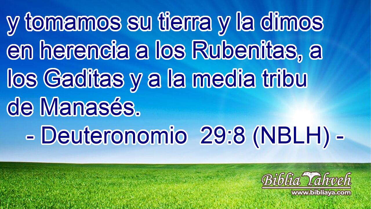  y tomamos su tierra y la dimos en herencia a los Rubenitas, a los Gaditas y a la media tribu de Manasés. 