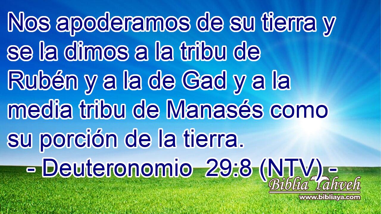Nos apoderamos de su tierra y se la dimos a la tribu de Rubén y a la de Gad y a la media tribu de Manasés como su porción de la tierra.