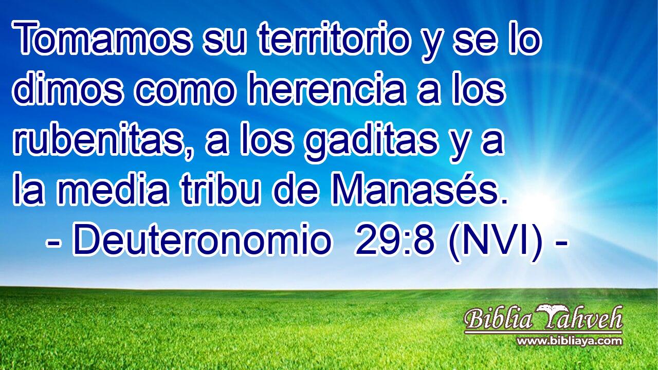  Tomamos su territorio y se lo dimos como herencia a los rubenitas, a los gaditas y a la media tribu de Manasés. 