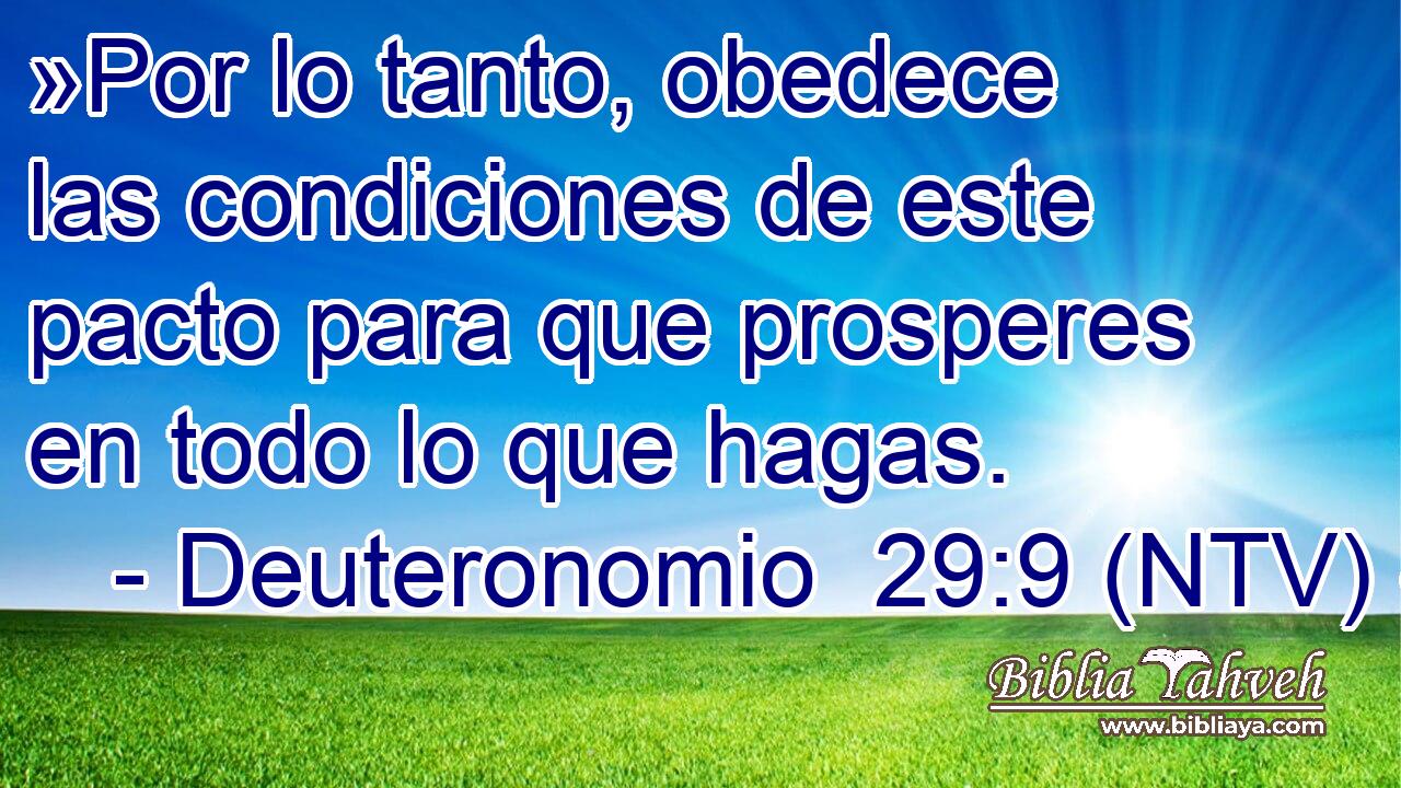 »Por lo tanto, obedece las condiciones de este pacto para que prosperes en todo lo que hagas.