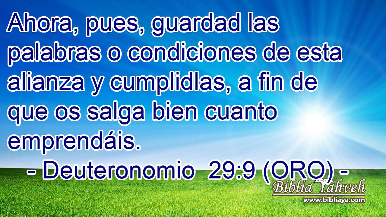  Ahora, pues, guardad las palabras o condiciones de esta alianza y cumplidlas, a fin de que os salga bien cuanto emprendáis. 