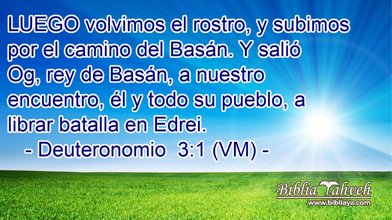  LUEGO volvimos el rostro, y subimos por el camino del Basán. Y salió Og, rey de Basán, a nuestro encuentro, él y todo su pueblo, a librar batalla en Edrei. 