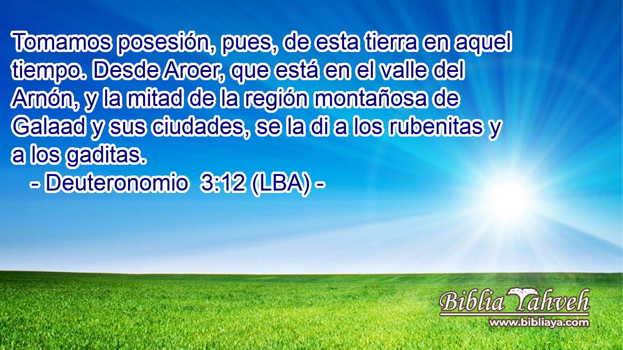 Tomamos posesión, pues, de esta tierra en aquel tiempo. Desde Aroer, que está en el valle del Arnón, y la mitad de la región montañosa de Galaad y sus ciudades, se la di a los rubenitas y a los gaditas.