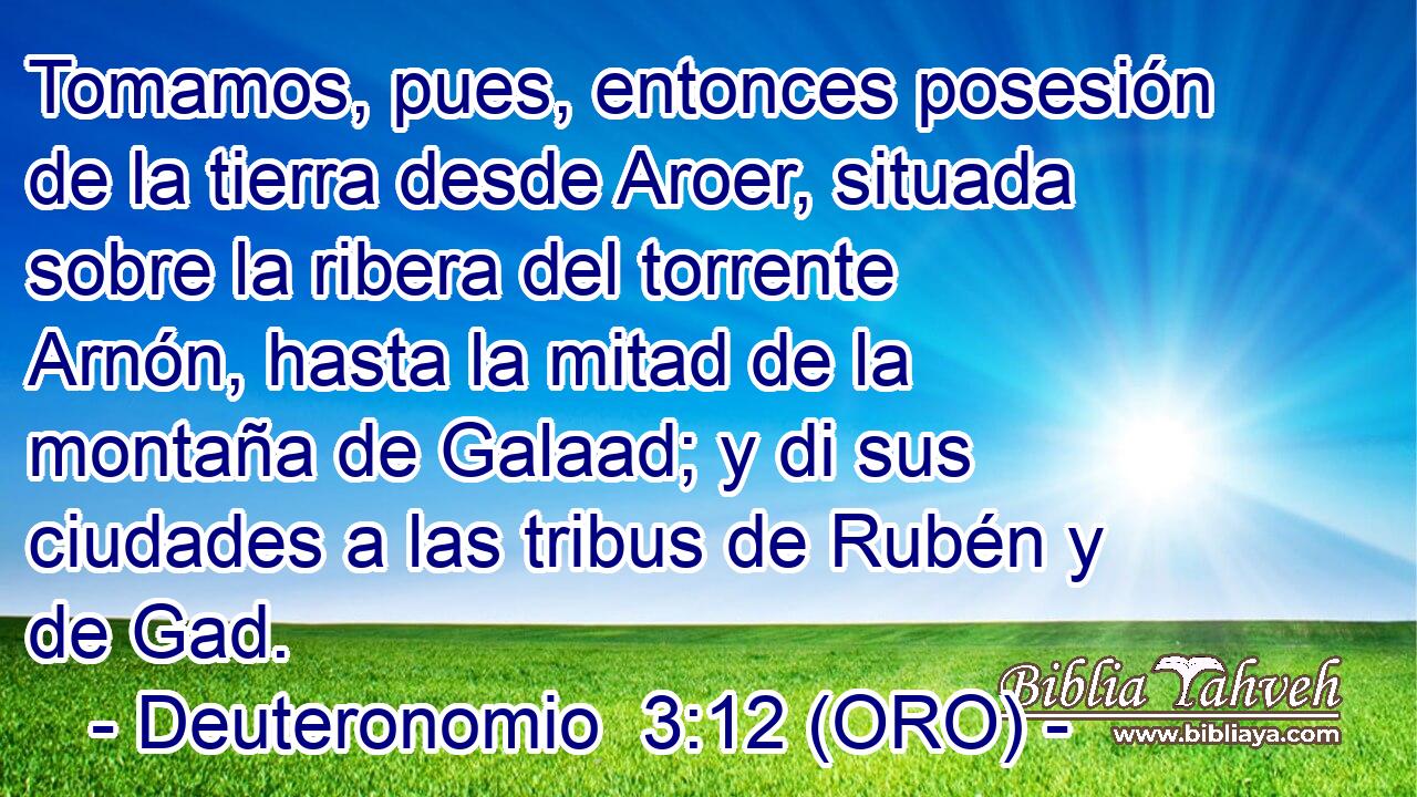 Tomamos, pues, entonces posesión de la tierra desde Aroer, situada sobre la ribera del torrente Arnón, hasta la mitad de la montaña de Galaad; y di sus ciudades a las tribus de Rubén y de Gad. 