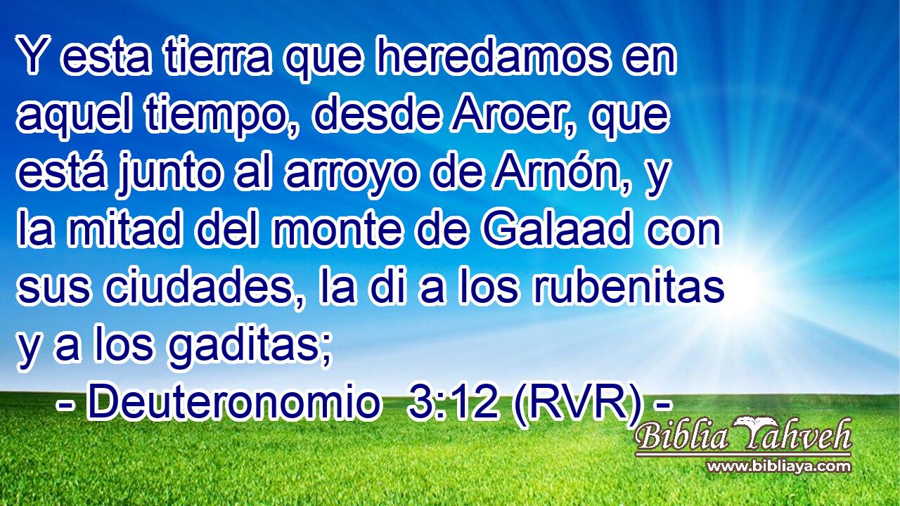 Y esta tierra que heredamos en aquel tiempo, desde Aroer, que está junto al arroyo de Arnón, y la mitad del monte de Galaad con sus ciudades, la di a los rubenitas y a los gaditas;