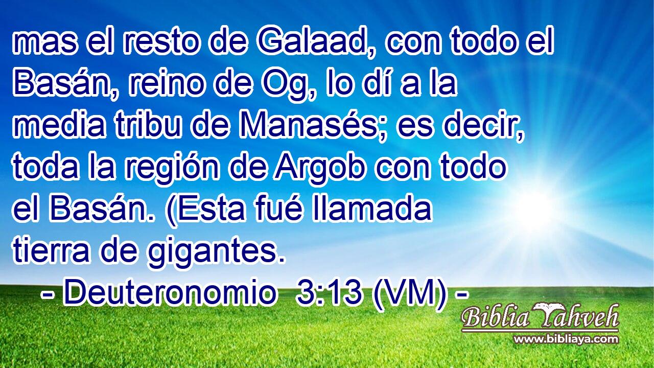  mas el resto de Galaad, con todo el Basán, reino de Og, lo dí a la media tribu de Manasés; es decir, toda la región de Argob con todo el Basán. (Esta fué llamada tierra de gigantes. 