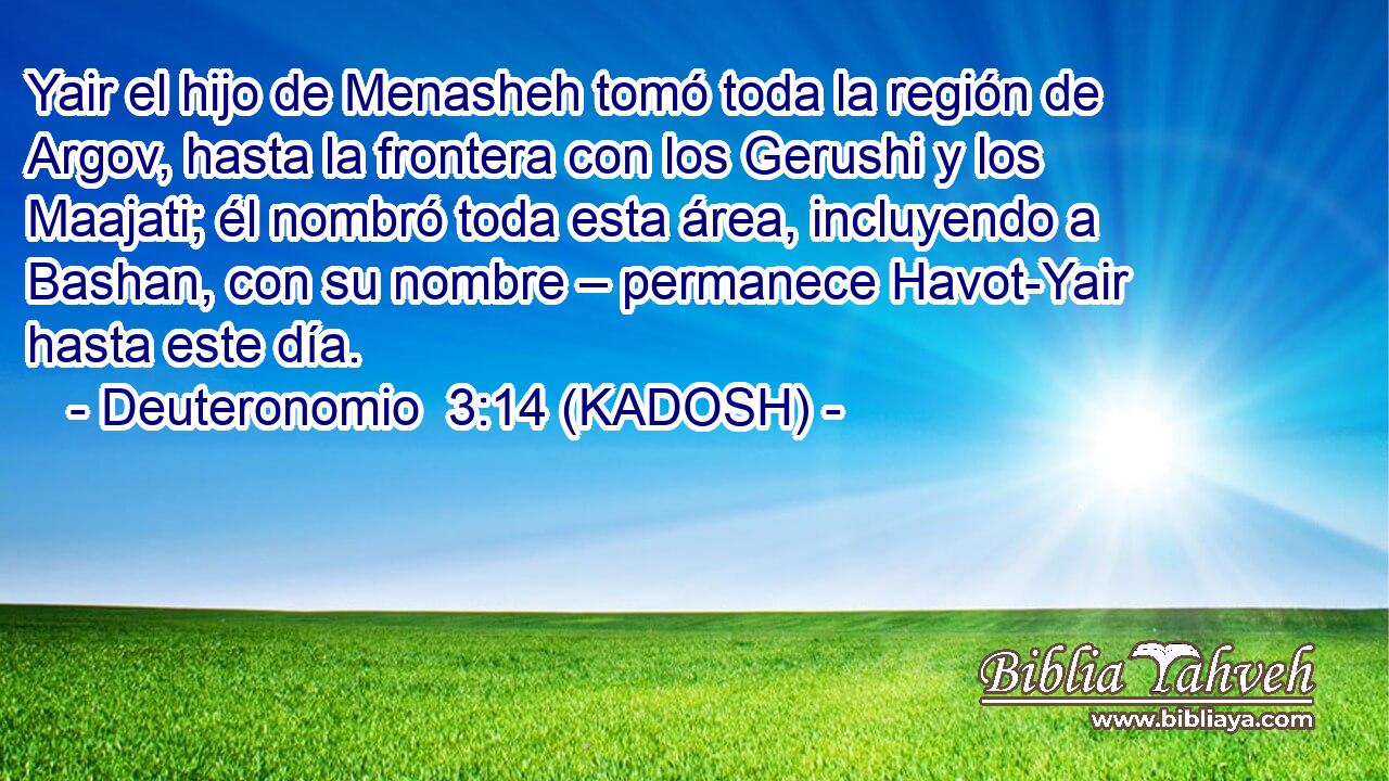  Yair el hijo de Menasheh tomó toda la región de Argov, hasta la frontera con los Gerushi y los Maajati; él nombró toda esta área, incluyendo a Bashan, con su nombre – permanece Havot-Yair hasta este día. 