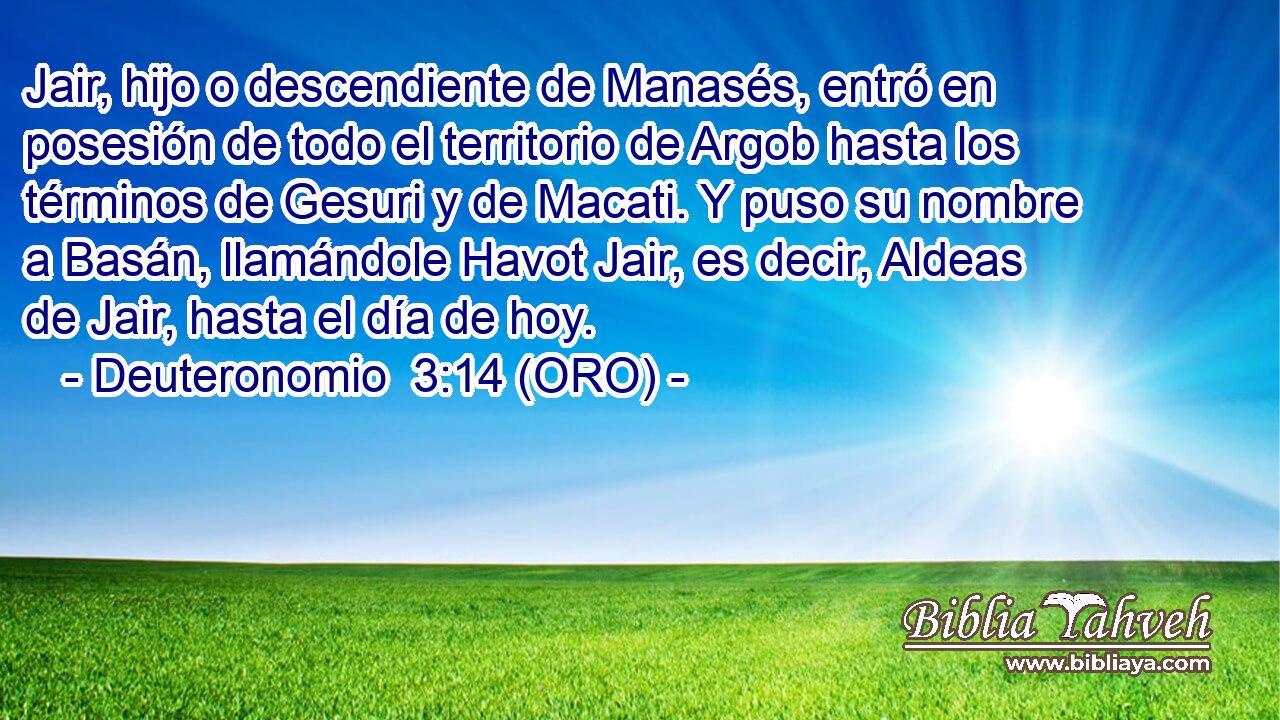  Jair, hijo o descendiente de Manasés, entró en posesión de todo el territorio de Argob hasta los términos de Gesuri y de Macati. Y puso su nombre a Basán, llamándole Havot Jair, es decir, Aldeas de Jair, hasta el día de hoy. 