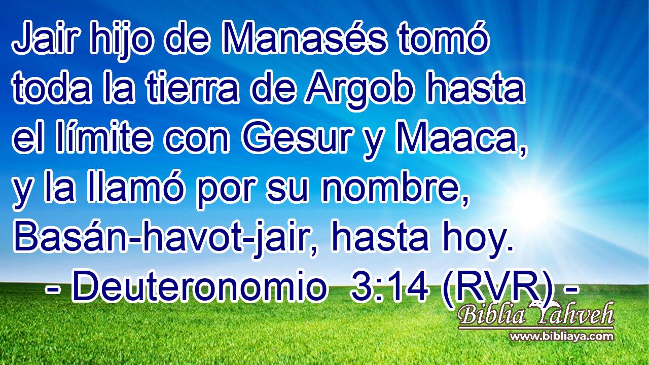 Jair hijo de Manasés tomó toda la tierra de Argob hasta el límite con Gesur y Maaca, y la llamó por su nombre, Basán-havot-jair, hasta hoy.