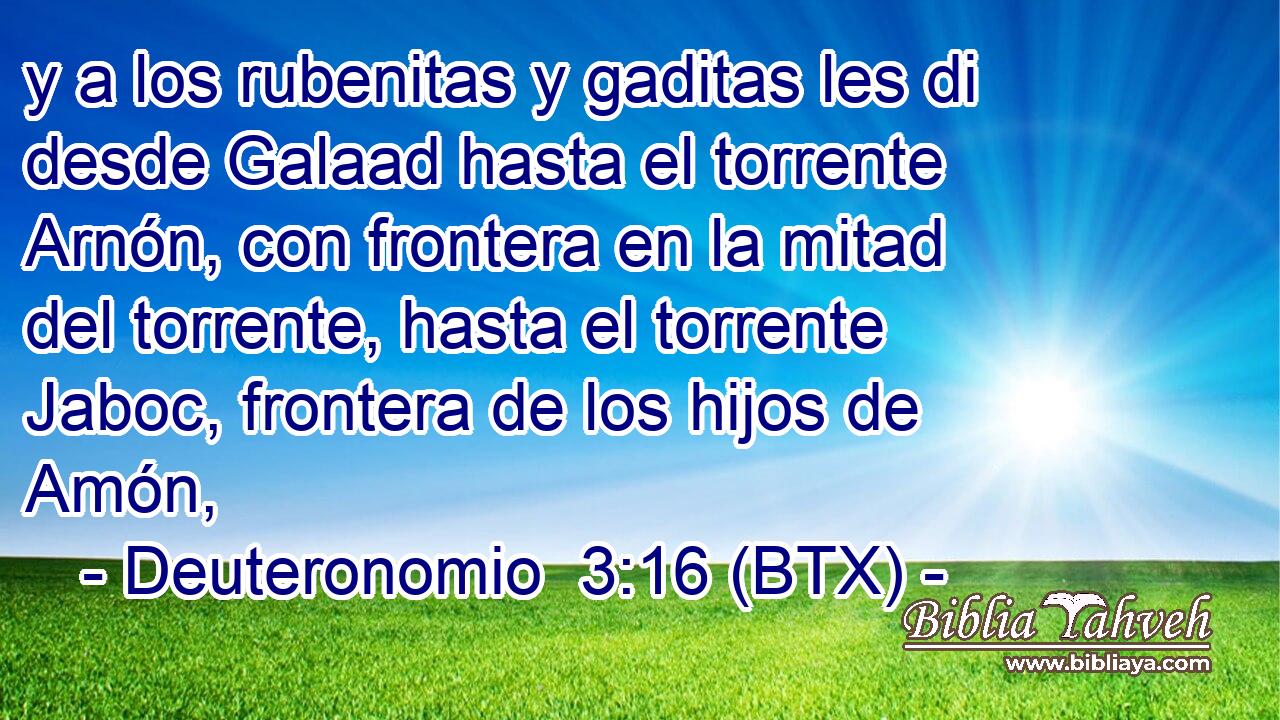 y a los rubenitas y gaditas les di desde Galaad hasta el torrente Arnón, con frontera en la mitad del torrente, hasta el torrente Jaboc, frontera de los hijos de Amón,