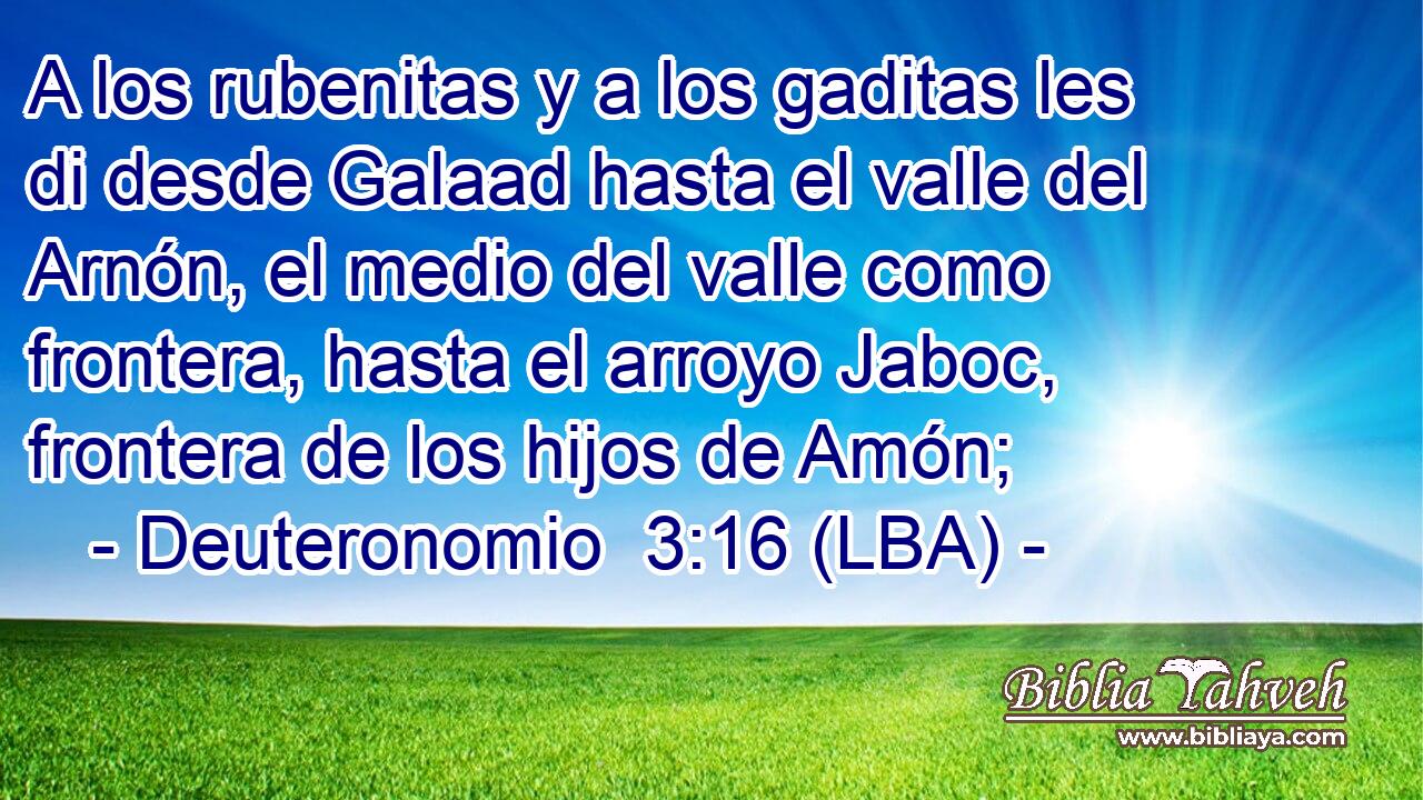 A los rubenitas y a los gaditas les di desde Galaad hasta el valle del Arnón, el medio del valle como frontera, hasta el arroyo Jaboc, frontera de los hijos de Amón;