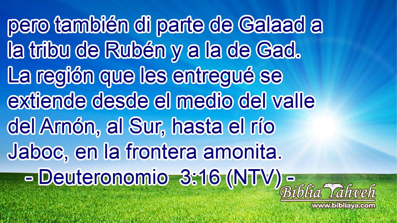 pero también di parte de Galaad a la tribu de Rubén y a la de Gad. La región que les entregué se extiende desde el medio del valle del Arnón, al Sur, hasta el río Jaboc, en la frontera amonita.
