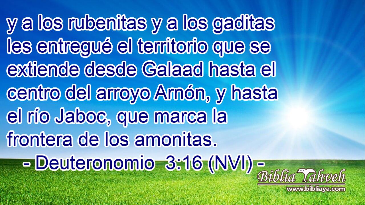  y a los rubenitas y a los gaditas les entregué el territorio que se extiende desde Galaad hasta el centro del arroyo Arnón, y hasta el río Jaboc, que marca la frontera de los amonitas. 