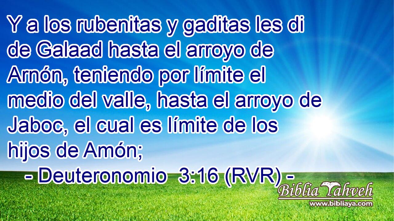 Y a los rubenitas y gaditas les di de Galaad hasta el arroyo de Arnón, teniendo por límite el medio del valle, hasta el arroyo de Jaboc, el cual es límite de los hijos de Amón;