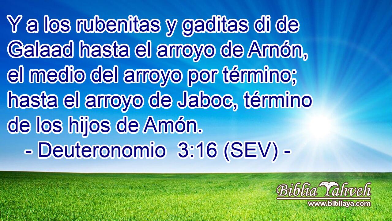 Y a los rubenitas y gaditas di de Galaad hasta el arroyo de Arnón, el medio del arroyo por término; hasta el arroyo de Jaboc, término de los hijos de Amón.