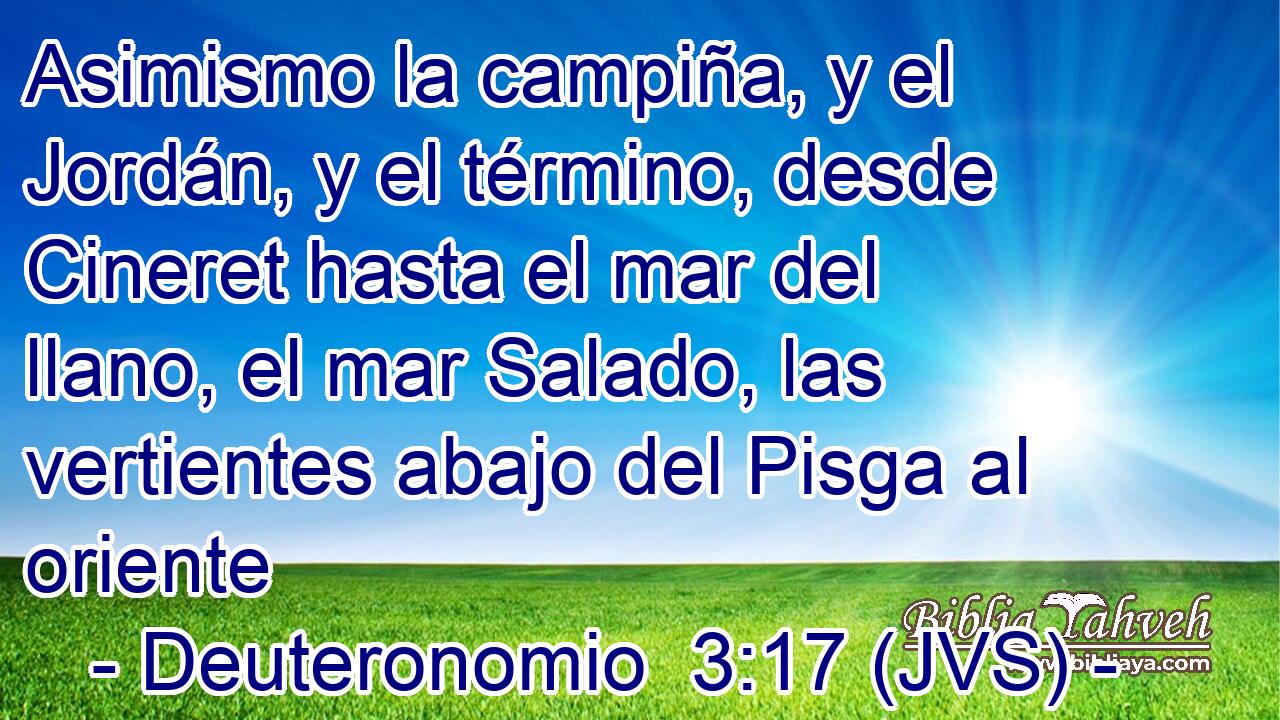 Asimismo la campiña, y el Jordán, y el término, desde Cineret hasta el mar del llano, el mar Salado, las vertientes abajo del Pisga al oriente