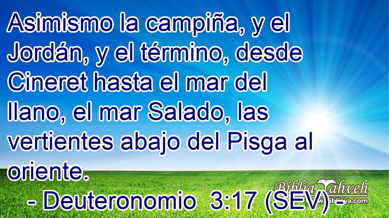 Asimismo la campiña, y el Jordán, y el término, desde Cineret hasta el mar del llano, el mar Salado, las vertientes abajo del Pisga al oriente.
