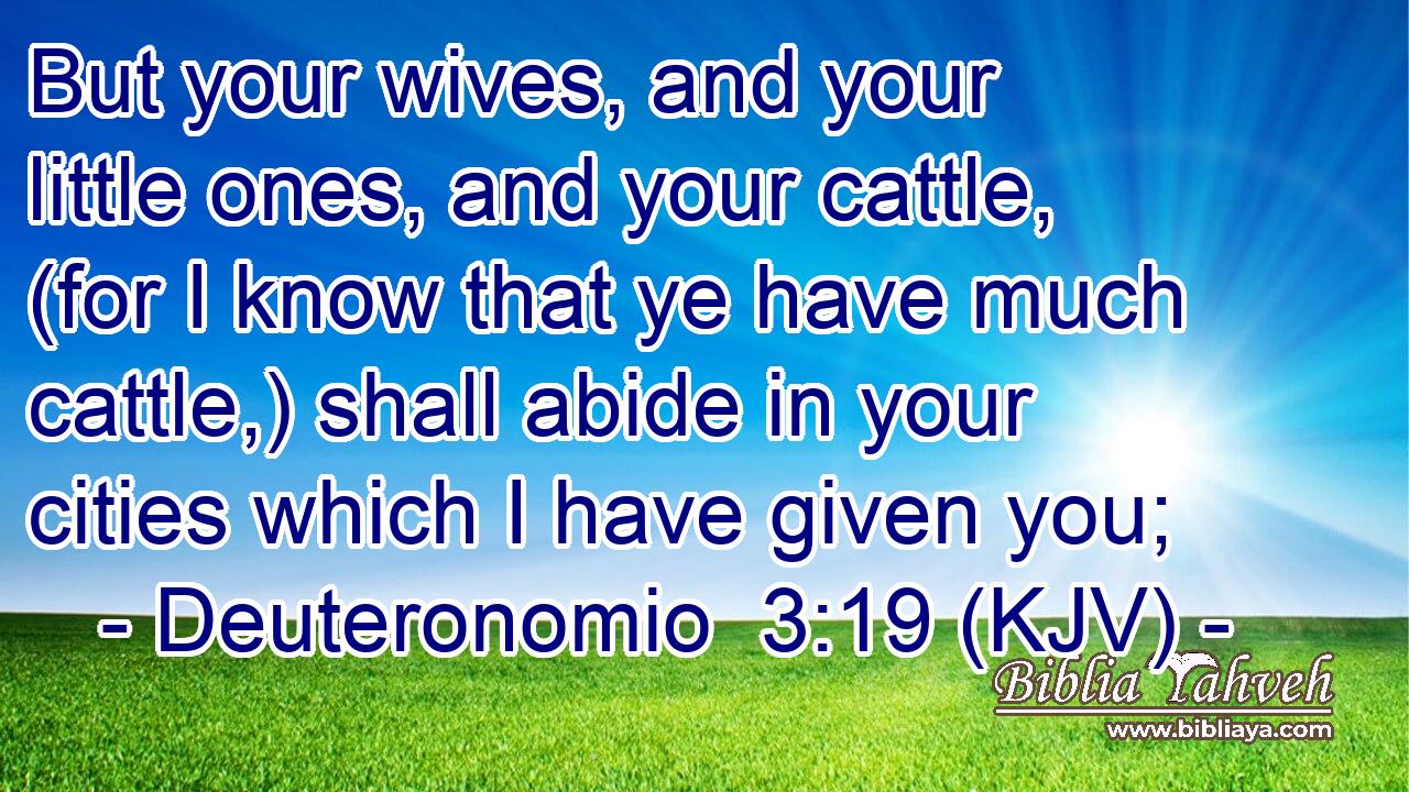 But your wives, and your little ones, and your cattle, (for I know that ye have much cattle,) shall abide in your cities which I have given you;