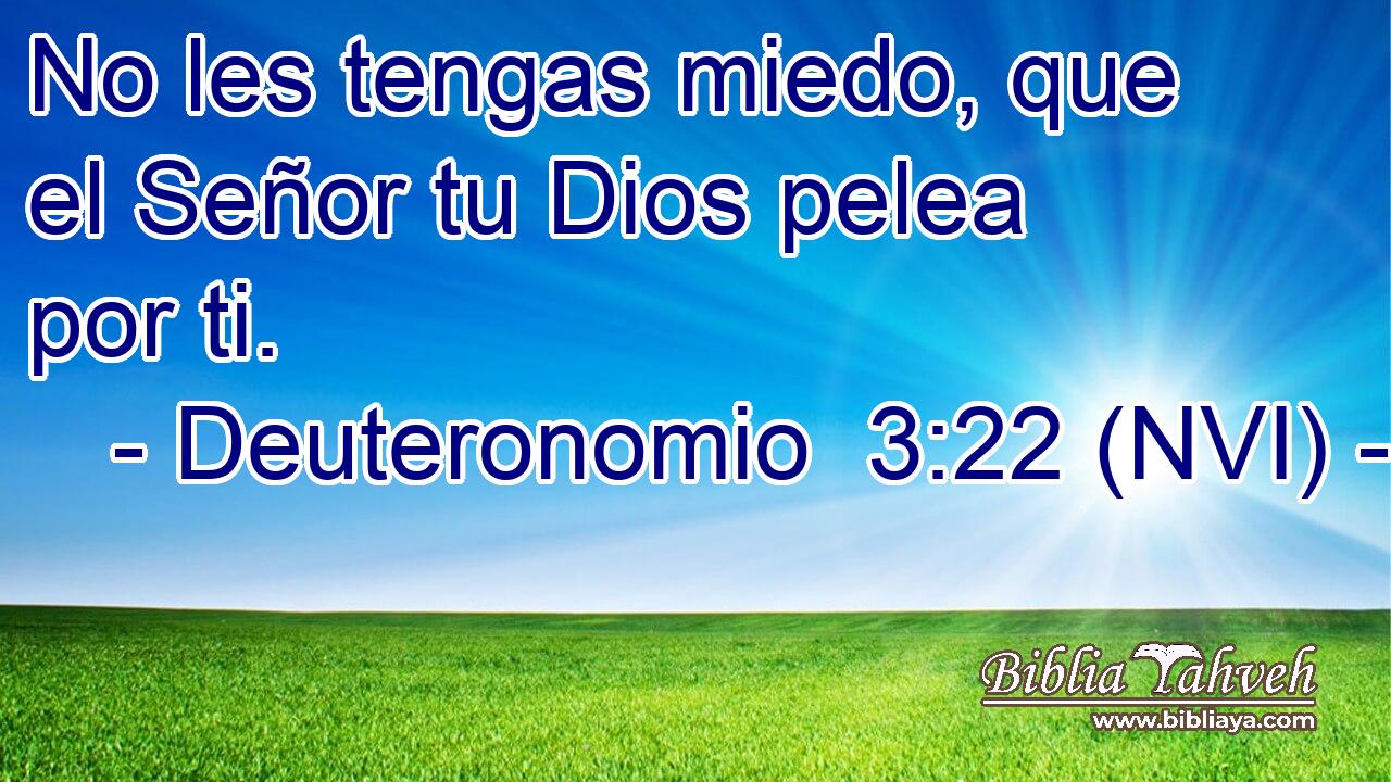  No les tengas miedo, que el Señor tu Dios pelea por ti. 