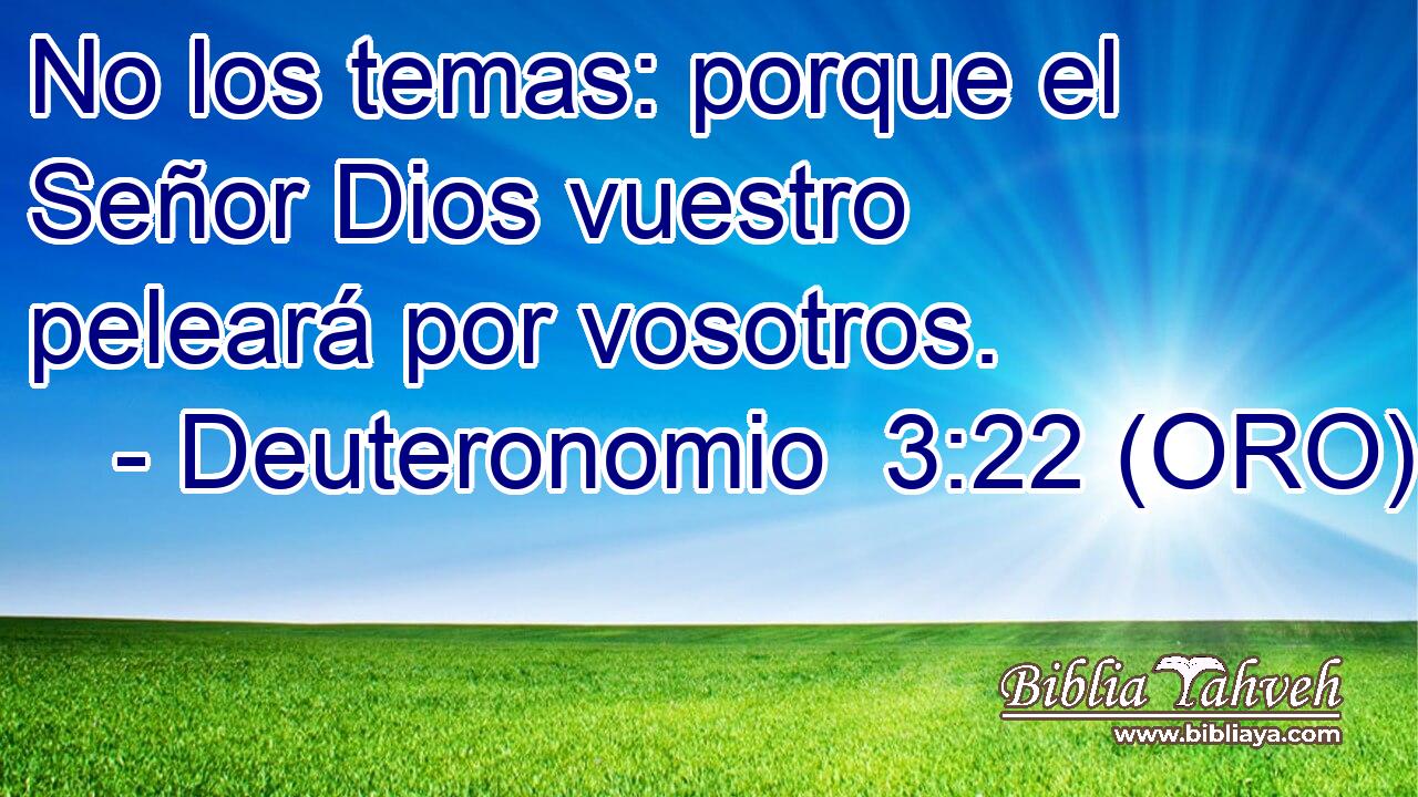  No los temas: porque el Señor Dios vuestro peleará por vosotros. 