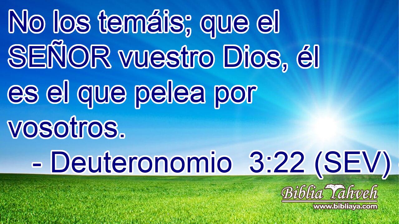 No los temáis; que el SEÑOR vuestro Dios, él es el que pelea por vosotros.