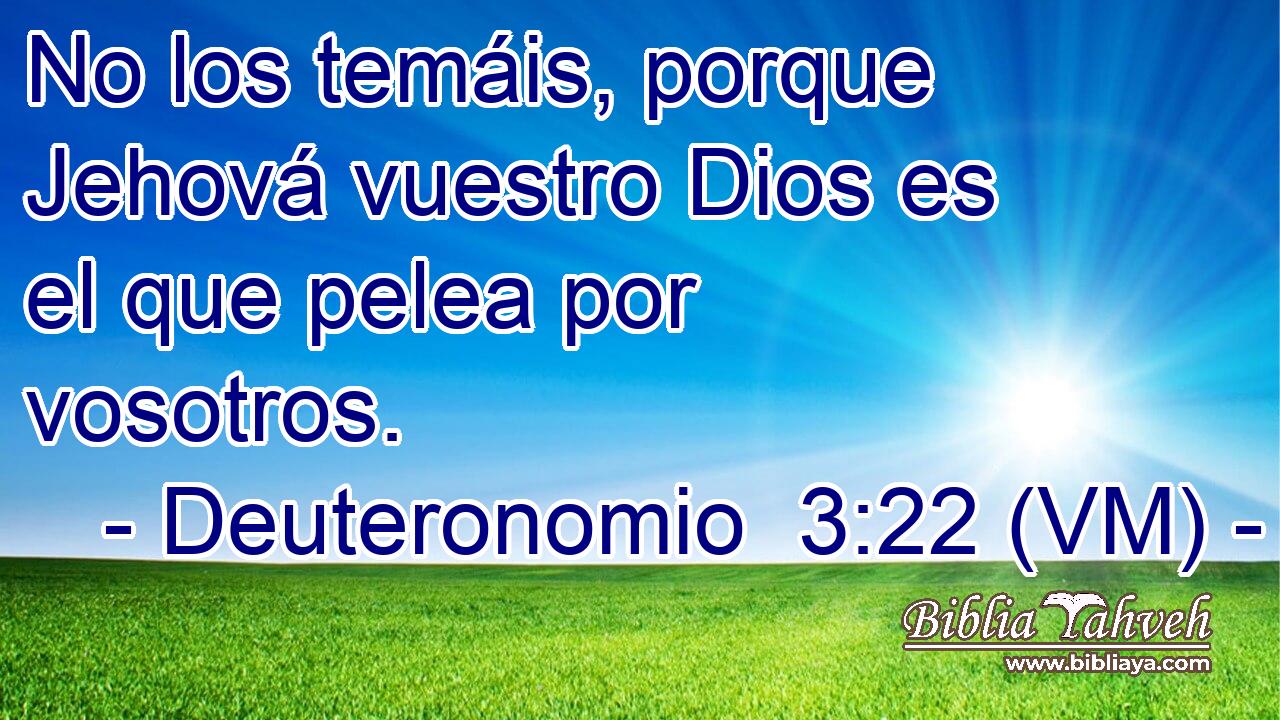  No los temáis, porque Jehová vuestro Dios es el que pelea por vosotros. 