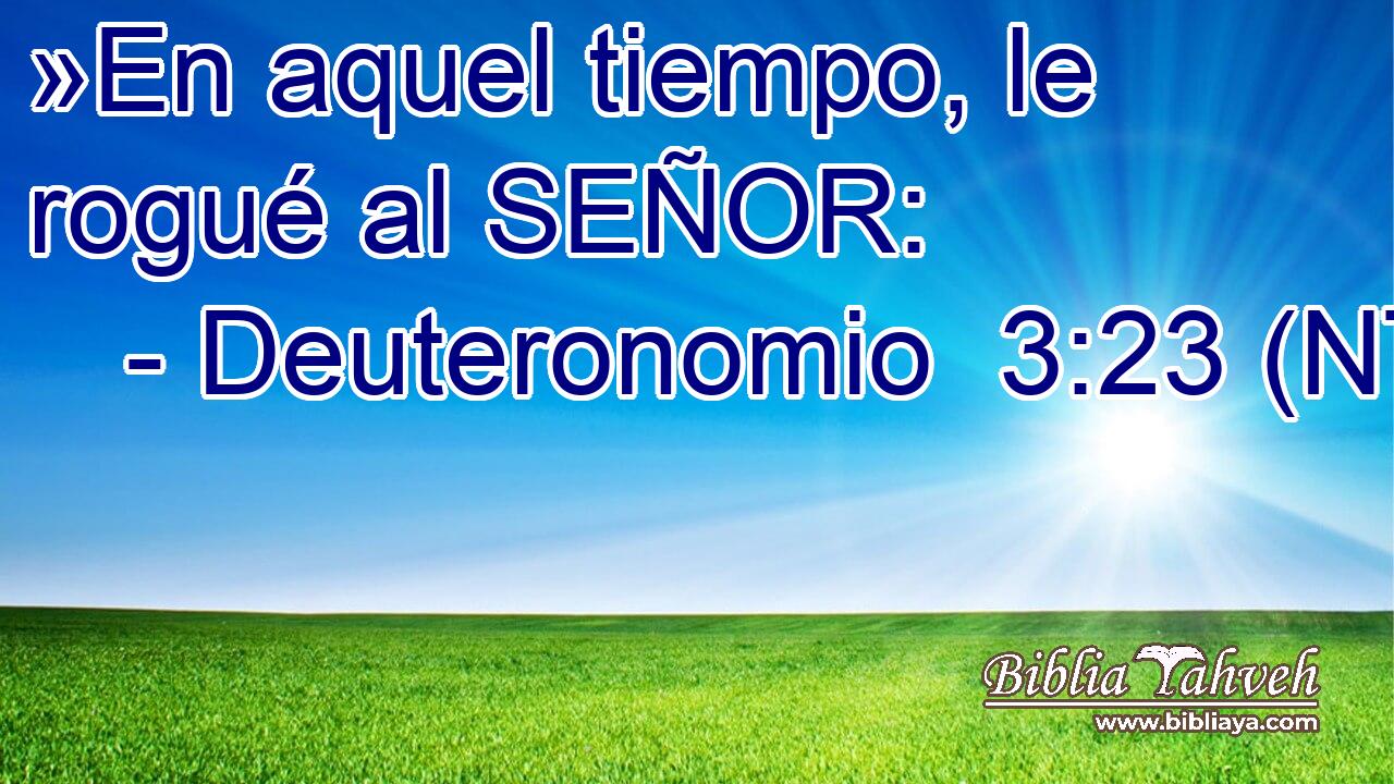 »En aquel tiempo, le rogué al SEÑOR: