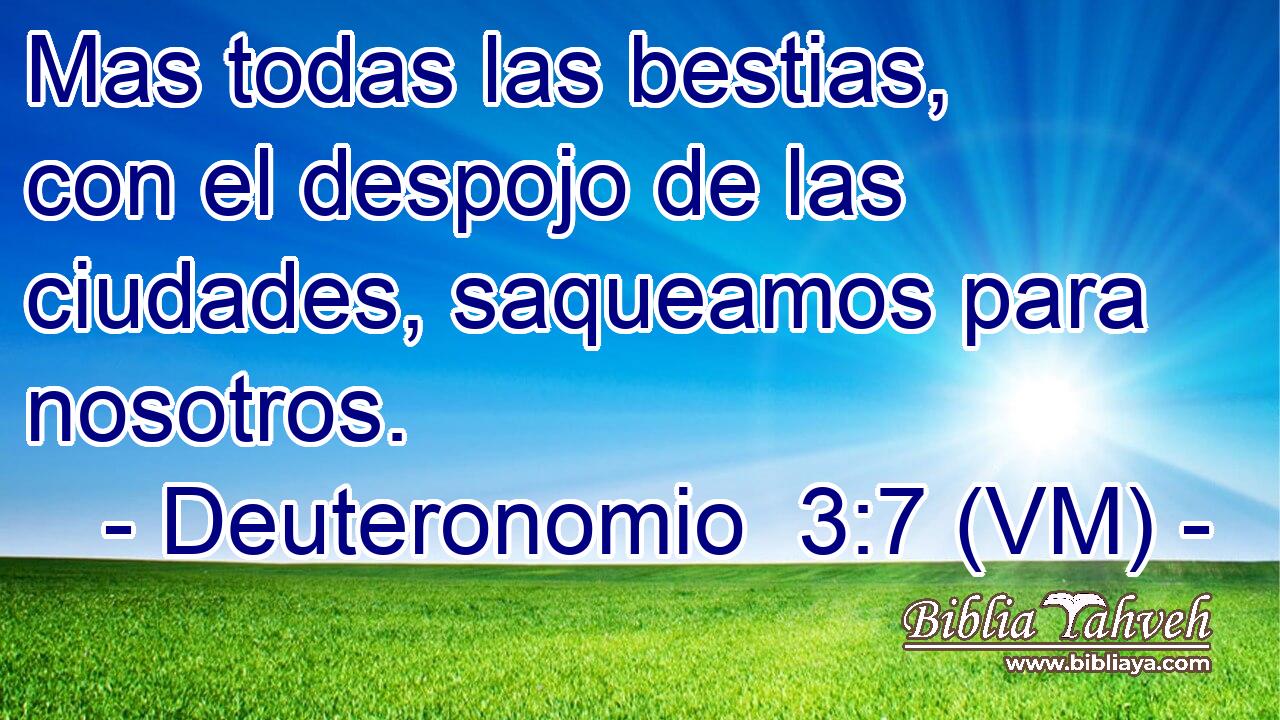  Mas todas las bestias, con el despojo de las ciudades, saqueamos para nosotros. 