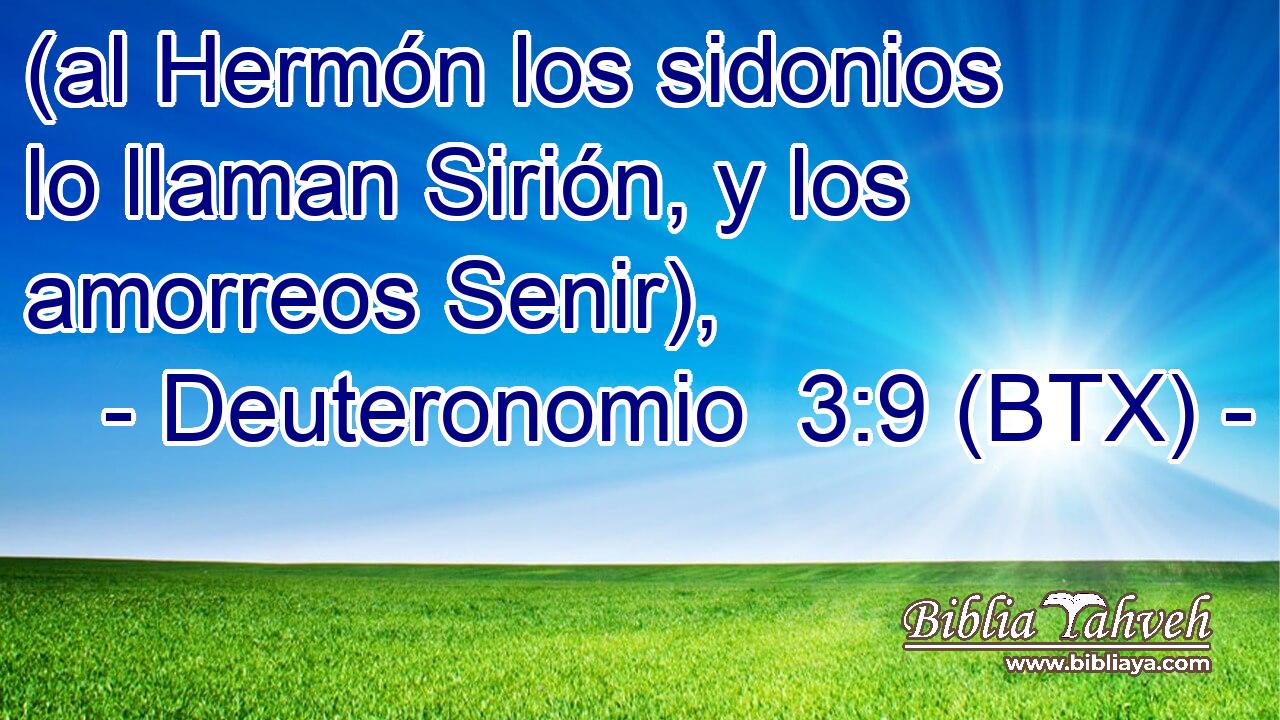 (al Hermón los sidonios lo llaman Sirión, y los amorreos Senir),