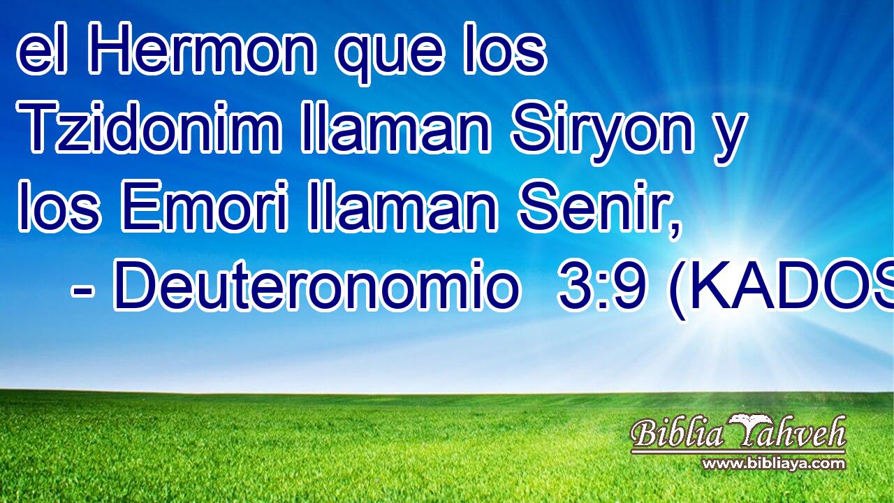  el Hermon que los Tzidonim llaman Siryon y los Emori llaman Senir, 