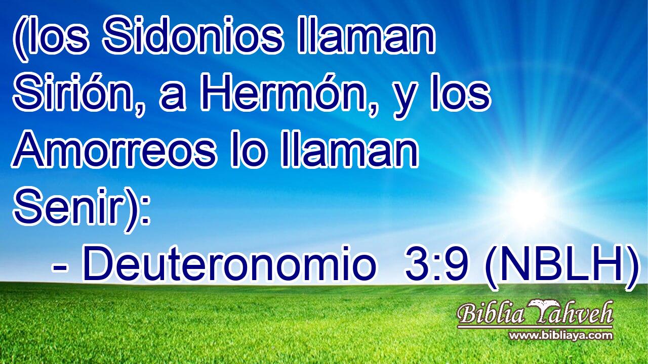  (los Sidonios llaman Sirión, a Hermón, y los Amorreos lo llaman Senir): 