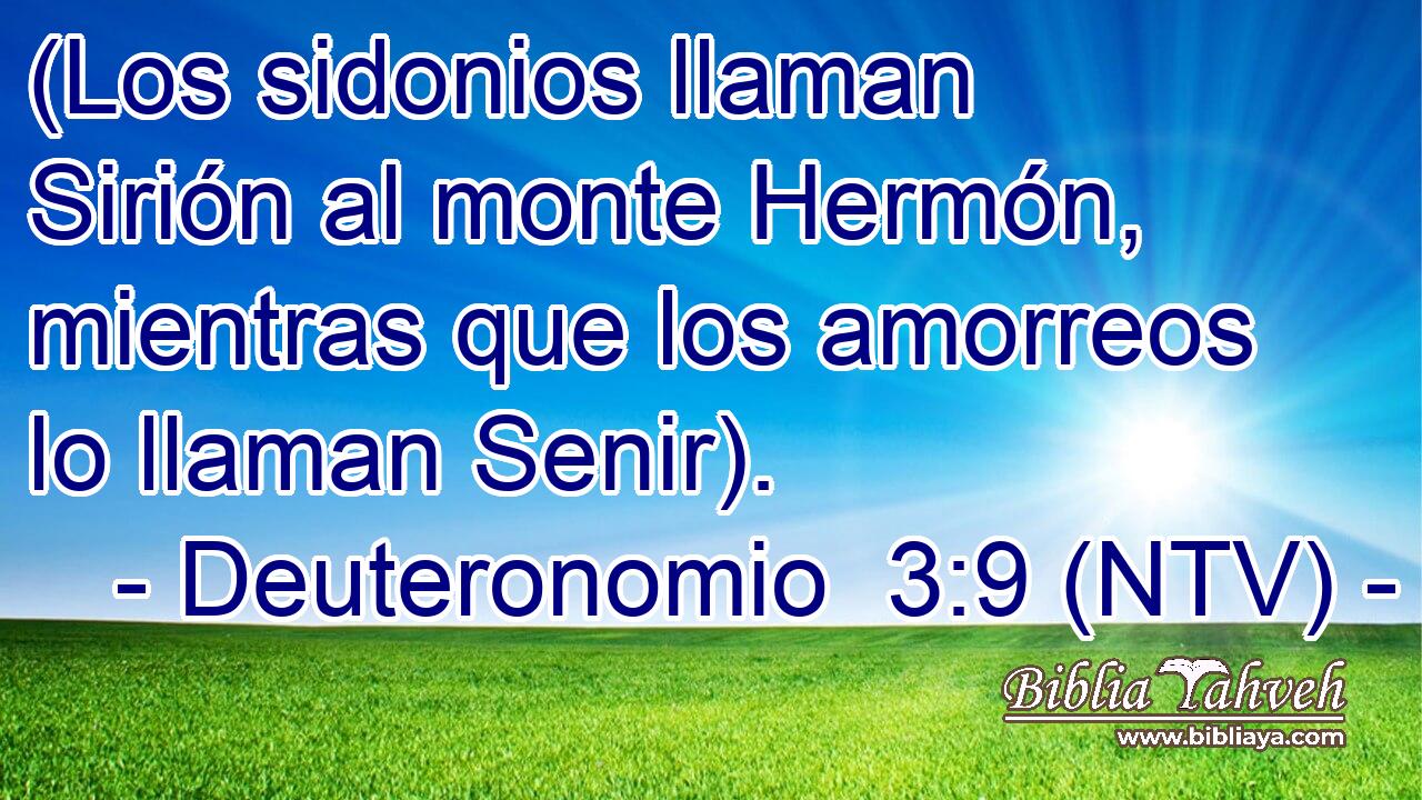 (Los sidonios llaman Sirión al monte Hermón, mientras que los amorreos lo llaman Senir).