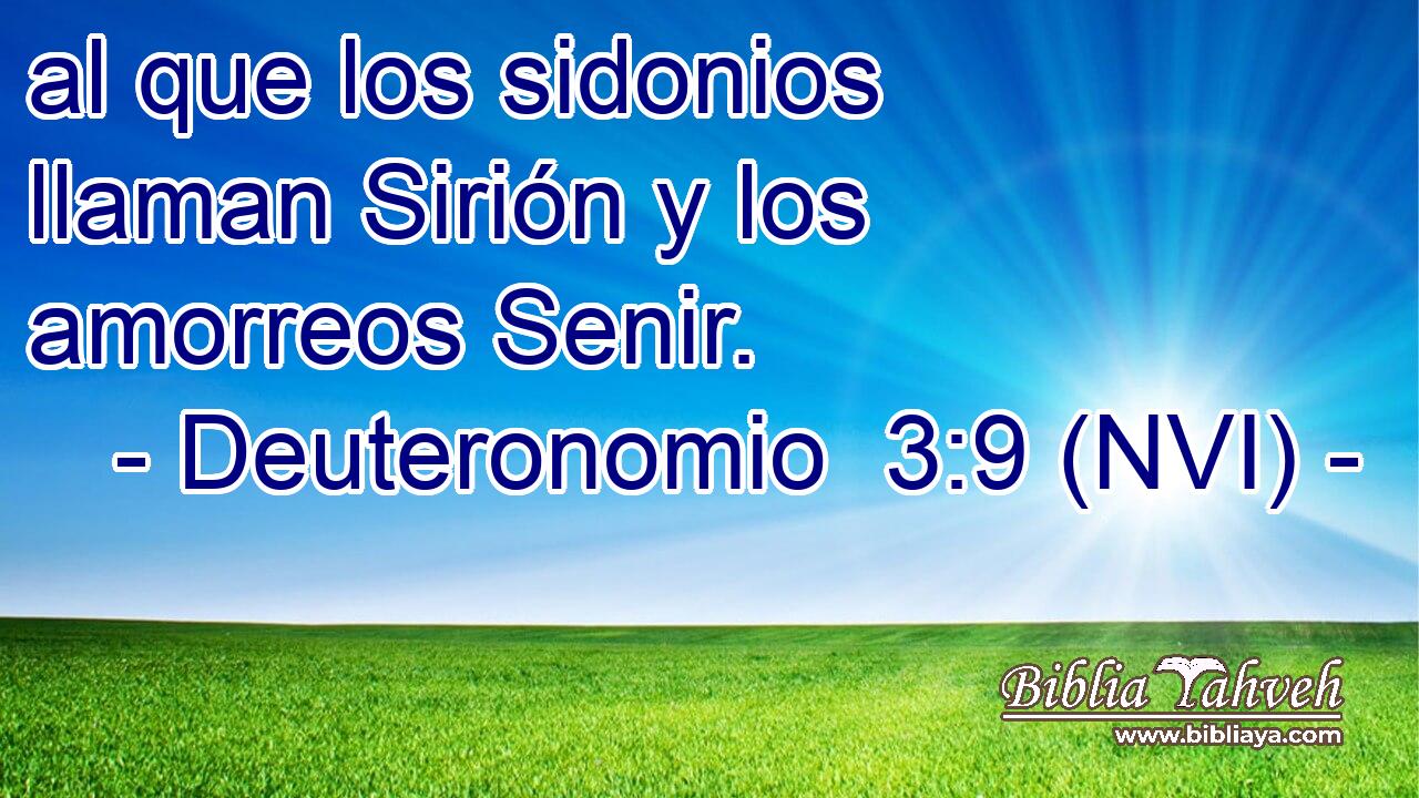  al que los sidonios llaman Sirión y los amorreos Senir. 